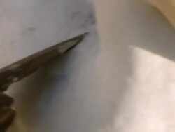 MS TU Shot of Webbed feet of Cape gannet / Namaqualand, Northern Cape, South Africa Stock Footage