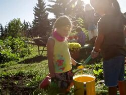 Girls filling watering can with hose in community garden Stock Footage