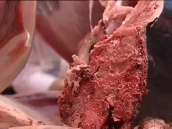 Tuna Japanese style in 2012 Fine Food and Beverage Stock Footage