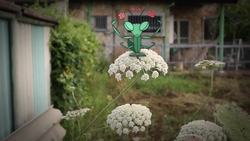 TED-ED: Why the insect brain is so incredible - Anna St_ckl Instructional Video