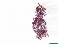 Human factor VIII molecule, a human protein involved in the blood clotting process. Stock Footage