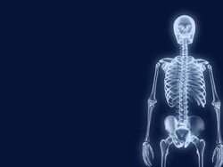 X-Ray Skeleton Presentation 2 Stock Footage