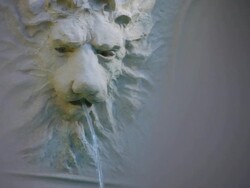 The Lion's Head Stock Footage