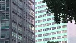 CLEAN : STOCKSHOTS: Brazil posts first economic growth in two years News Clip