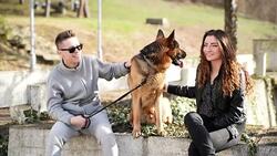 Playing with dog Stock Footage