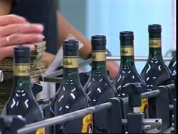 Uruguay hopes to compete in international wine market News Clip