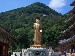 Shot of Geumdongmireukdaebul(Bronze Buddha Statue, Silla) and old architecture in Beopjusa(temple) Stock Footage