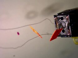 Close Up, Locked Down - Confetti explodes from a machine in slow motion / USA Stock Footage