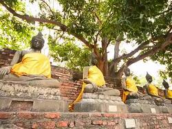 Old Buddha Statues at Historical Park of Ayutthaya, Thailand Stock Footage
