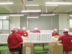 WS PAN Young women folding paper at factory / Shenzhen, Guangdong, China Stock Footage