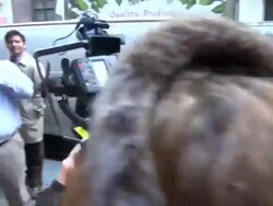 Star Jones at Harvey Weinstein's Giants Super Bowl Pep Rally in New York on 2/1/2012 (Footage by WireImage Video/Getty Images Entertainment Video) Stock Footage