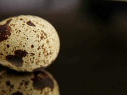 Quail's egg - loopable, copy space Stock Footage