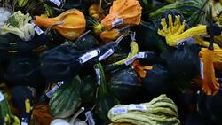 Pumpkin in market Stock Footage
