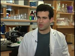 How candy floss could help in replacing lost human tissue News Clip