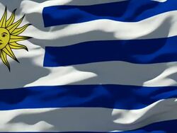 Uruguaian Flag Stock Footage