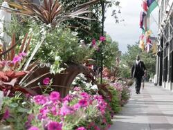 WS Young man dressed up in black suit and walking on street / Minneapolis, Minnesota, United States Stock Footage