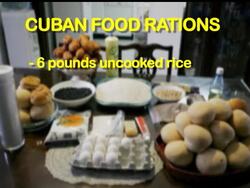 The Associated Press Havana bureau chief spent one month living under the restrictions of the Cuban food rations; Anita Snow says the system isn't easy, but Cubans get by with ingenuity and organization. News Clip