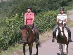 WS TS View of equestriennes riding at village Ayl, Saarburg country / Ayl, Saar-Valley, Rhineland-Palatinate, Germany  Stock Footage