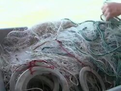 Fishermen cast a net on the Chesapeake Bay Stock Footage