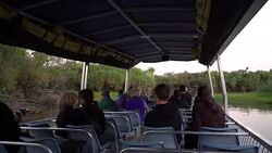 VOICED : Debate about croc numbers reignited in Australia News Clip