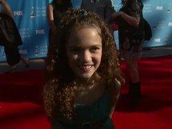 39th Annual NAACP Image Awards Stock Footage