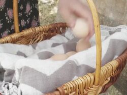Young couple gathering eggs from hen house Stock Footage