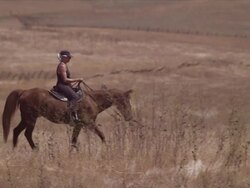 Medium long lens, camera pans with Karen riding through pasture Stock Footage
