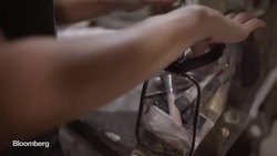 The Mermaid Swimming in (Sand) Dollars News Clip