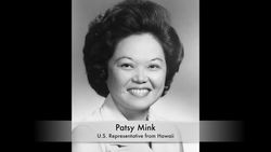 The American Presidential Election of 1972 Instructional Video