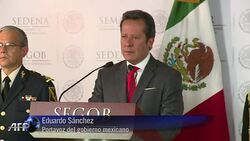 VOICED : Cae lider de cartel del Golfo News Clip