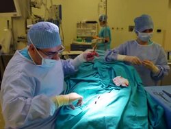 Nurse assisting doctor Stock Footage