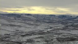 A forest of evergreens grows on the snow covered Yukon Mountains. Stock Footage