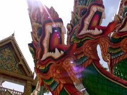 Chinese dragons Stock Footage