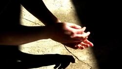 Thirsty Washing Stock Footage