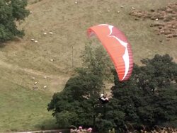 MS PAN SLO MO Shot of paraglider flying above hill tops Stock Footage