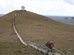 Cape Horn Island, Chile, South America Stock Footage