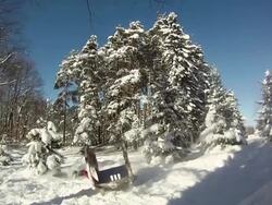 A young man snowboarding through trees and jumping over a playhouse. - Slow Motion - Model Released - HD Stock Footage
