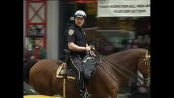NYPD Mounted Police Officer News Clip