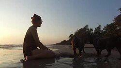 Happy woman with two french bulldog enjoys in Sea Sunset. Stock Footage