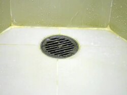 Shower drain Stock Footage