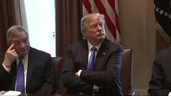 Donald Trump says he doesn't think Oprah Winfrey will run for president in 2020 but says if she did, 'I'll beat Oprah' Instructional Video