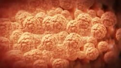 Fat cells float in clear fluid. Stock Footage