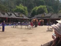 Embarrassment For Prince At Elephant Sanctuary - Elephants being made to perform for crowds News Clip