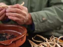 SLOW MOTION: Organic Farming Stock Footage