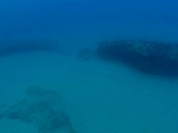 WS Shot moving towards rocky outcrops with various fish swimming around and potato bass swimming / Matola, Maputo, Mozambique Stock Footage