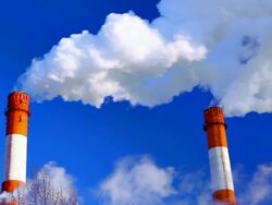 Environmentalists want to cry Stock Footage