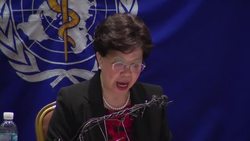 Chan: MERS not mutated into deadlier form News Clip