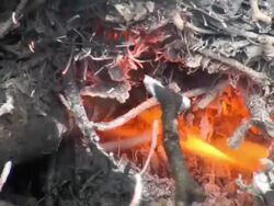 Campfire Stock Footage