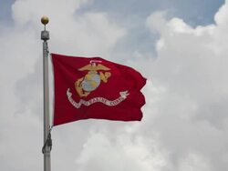 United States Marine Corps Flag Stock Footage