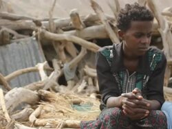 Boy sitting over wooden structure Stock Footage